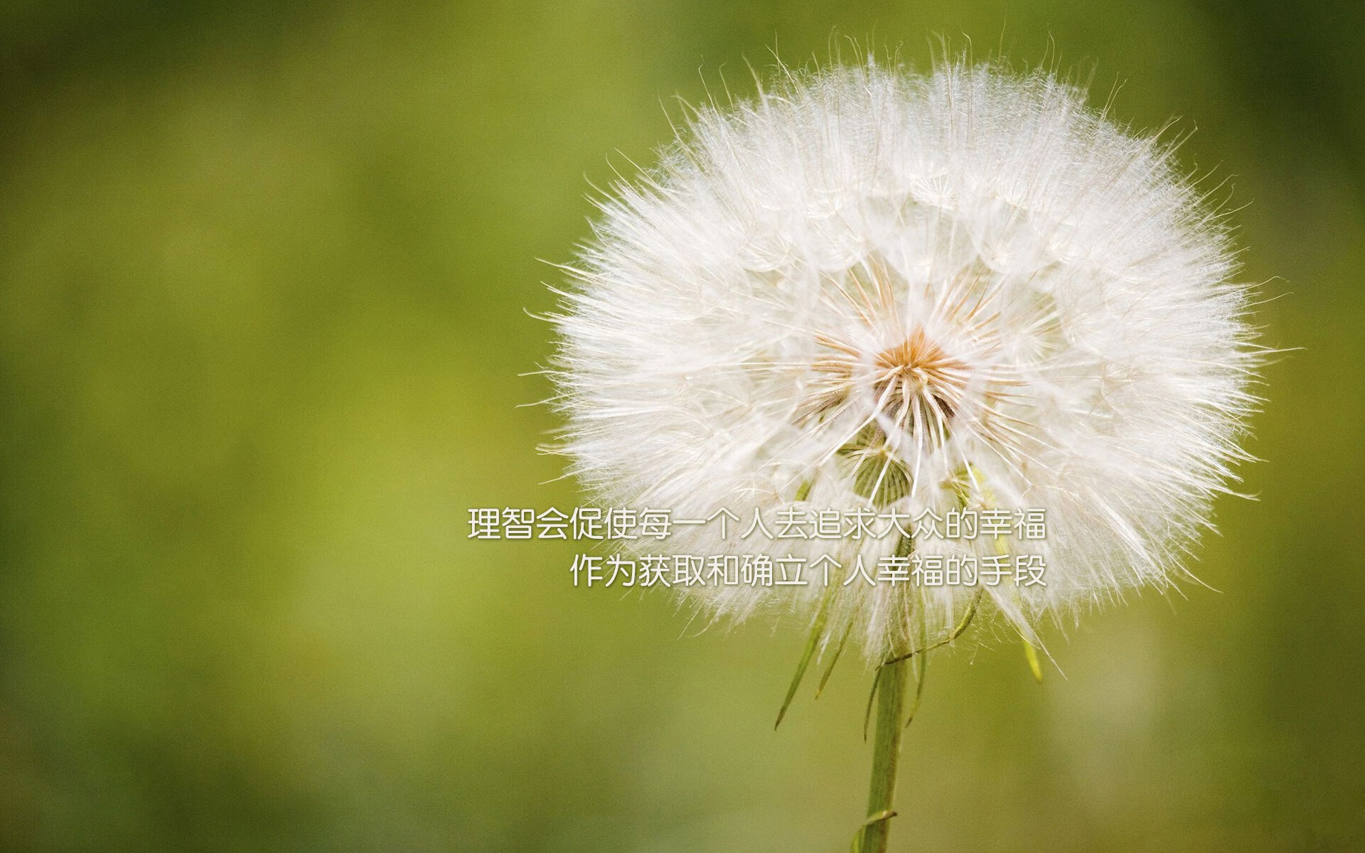 星空电竞平台-奥运代表团亮相仪式庄严隆重，奥运会参赛代表团