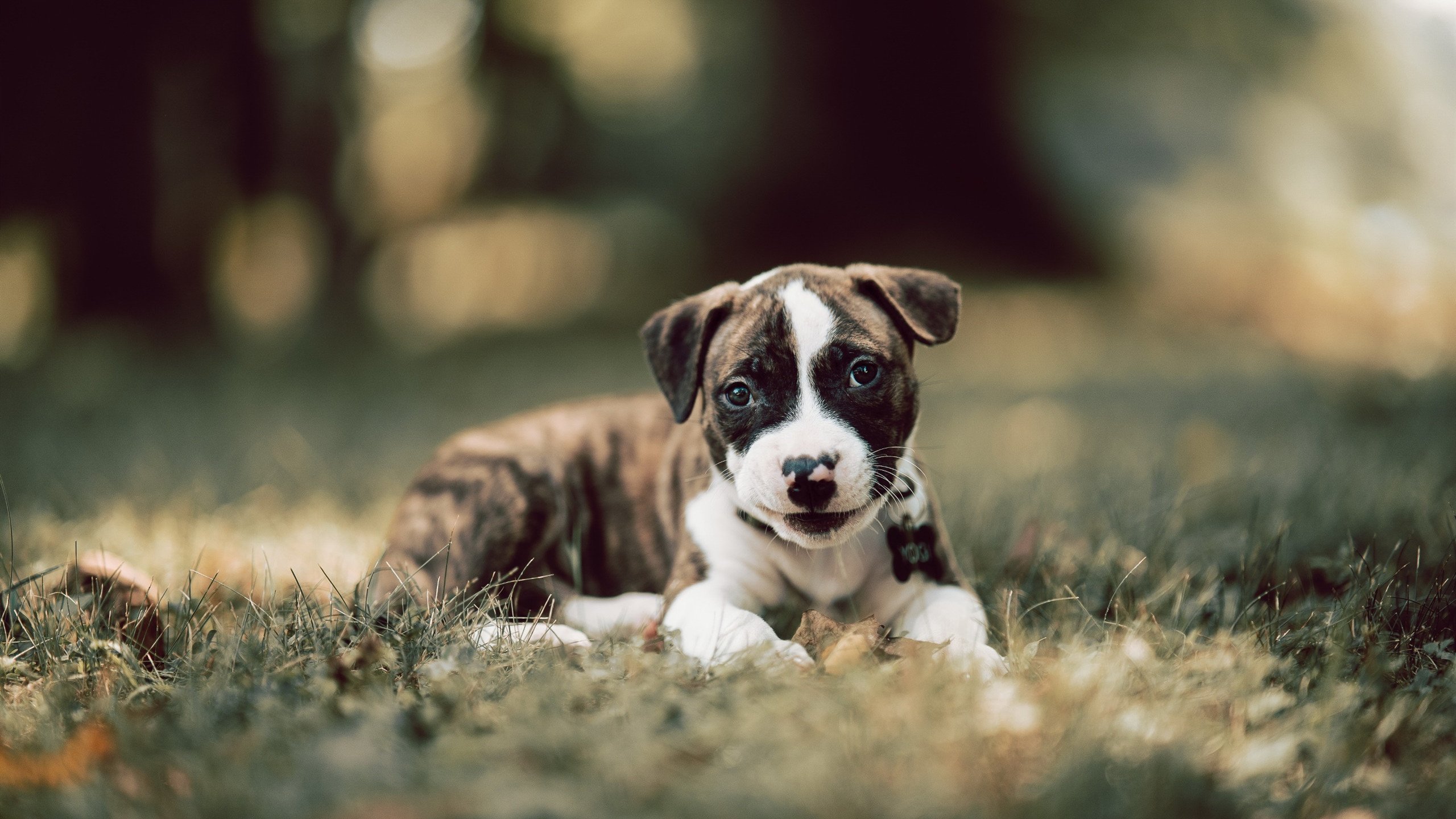 星空体育官网入口-训练方法科学多样促进成绩提升，科学有效的训练方法