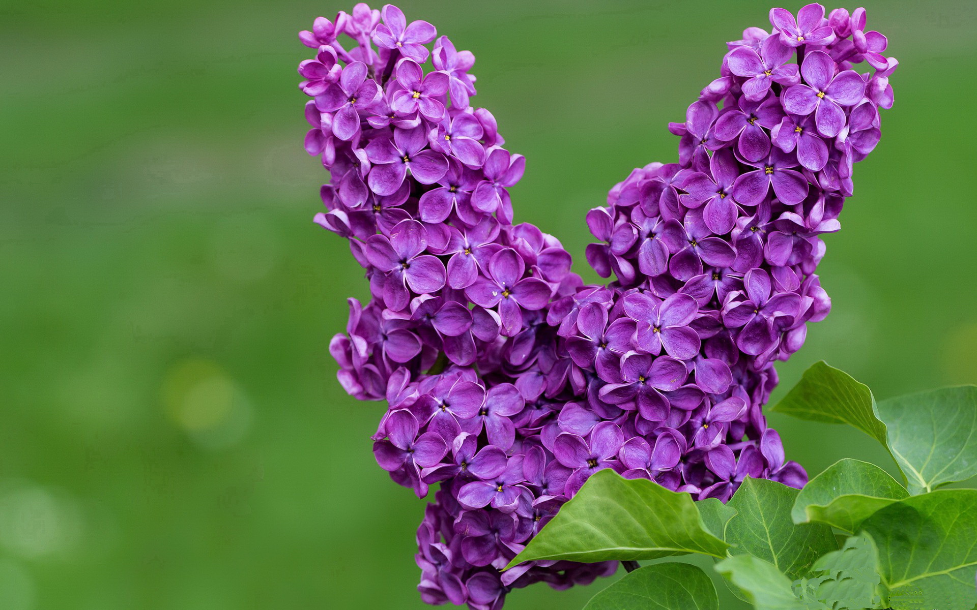 星空电竞平台官网-乌拉圭男篮在南美锦标赛中不断突破,体育影响日益增强,乌拉圭男篮落选赛名单