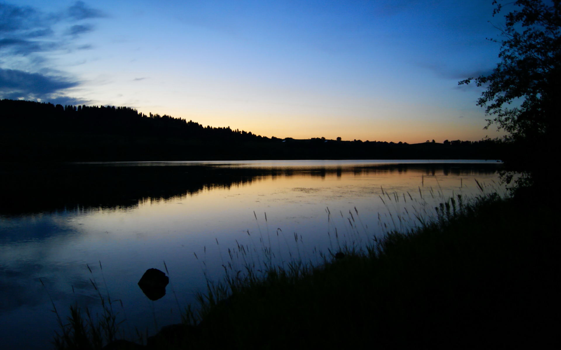 星空游戏平台-唐纳德·高尔:袋鼠队新晋领袖,攻防全面,唐纳德高德纳